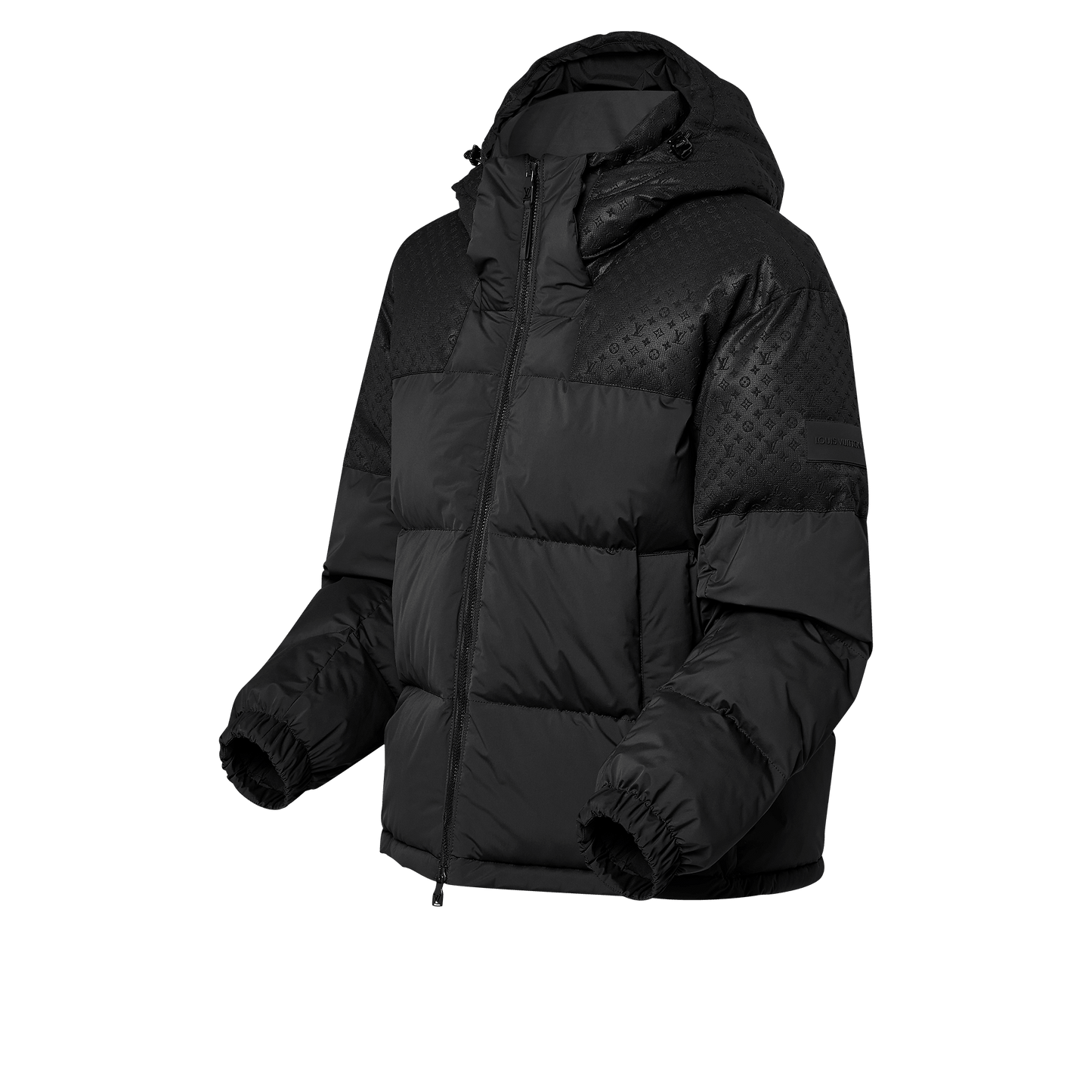 Placed Monogram Ecodown Blouson