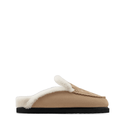 Colorado Closed Mule