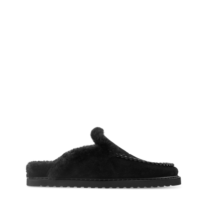 Colorado Closed Mule