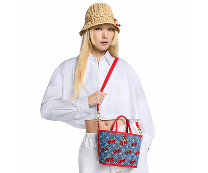 Neverfull Inside Out BB LV x TM